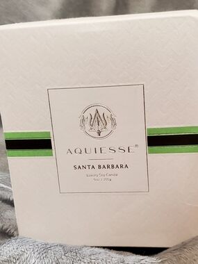 Aquiesse Santa Barbara Luxury Soy Candle - White & Green